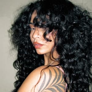 brunelymesmo profile picture