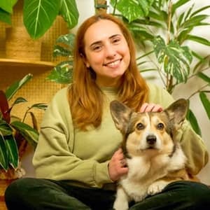 doradelton profile picture