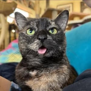 grim.stagram profile picture