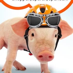 ippiesnl profile picture