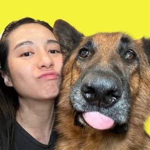 meetthechows profile picture
