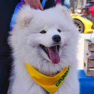 northern_kyra profile picture