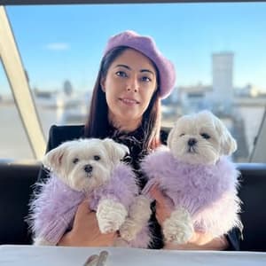 the_doggie_days profile picture