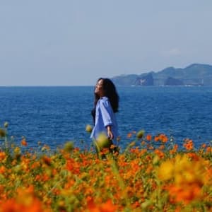 wheresysabelle profile picture
