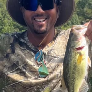 basscatchum profile picture