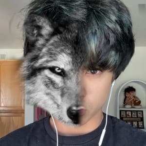 brodyjboling profile picture