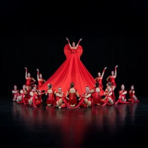 calypso_showtanz profile picture