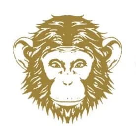 generativeads profile picture