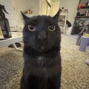 glassof__ profile picture