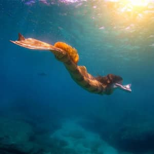 haleymermaid profile picture
