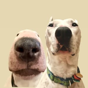 mistermainer profile picture