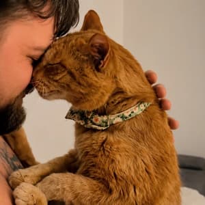 thelittlepawsiss profile picture