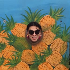 traveleryo profile picture