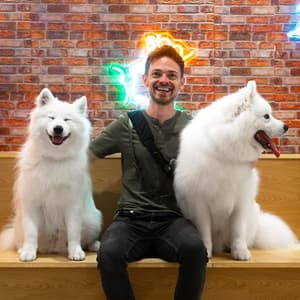 justinveenema profile picture