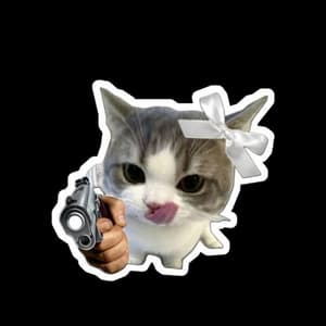 timeforfun-t8t profile picture