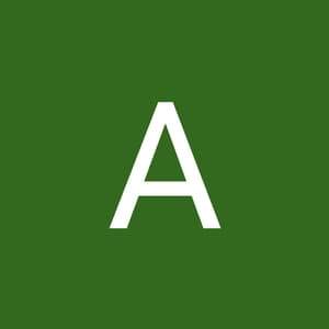 areebashabaaz4004 profile picture