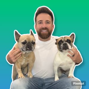 somefrenchienamedapollo profile picture