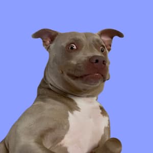 bryanofomaha profile picture